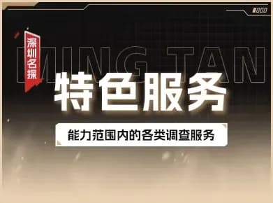 定制化疑难情报服务 - 保密定制方案 定制化疑难情报服务调查实景