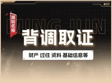 深度背调与证据收集 - 合法有效证据固定 深度个人背景调查合法取证实景