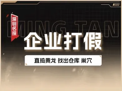 企业打假与品牌保护 - 追踪侵权源头 企业打假与品牌保护调查实景